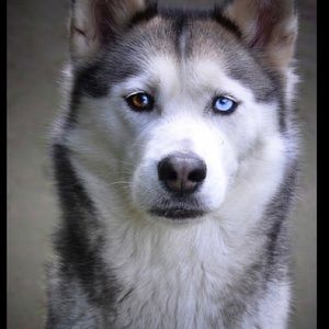 Meet your Posher, Kathie